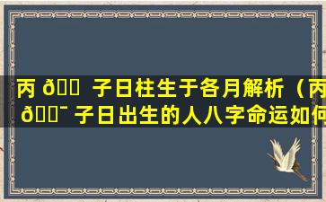 丙 🐠 子日柱生于各月解析（丙 🐯 子日出生的人八字命运如何）